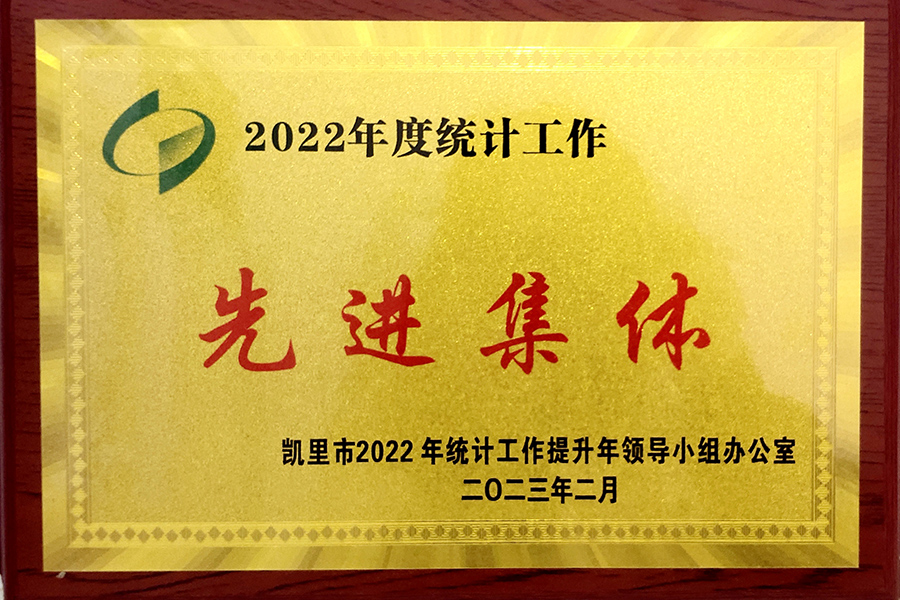 凯里市2022年度统计工作“先进集体”荣誉称号-贵州生物制药